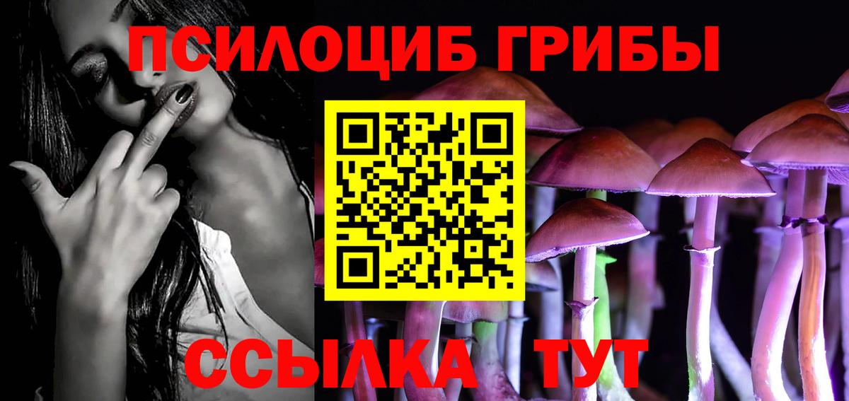 Бирск  Псилоцибиновые грибы Cubensis  Вход с VPN  Галлюциногенные грибы GOLDEN TEACHER 
